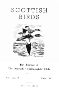 Scottish Birds