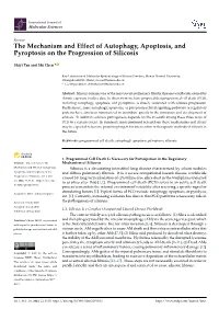 The Mechanism and Effect of Autophagy, Apoptosis, and Pyroptosis on the Progression of Silicosis