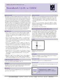 Datasheet Blank Template