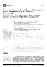 Endosymbiont Capture, a Repeated Process of Endosymbiont Transfer with Replacement in Trypanosomatids Angomonas Spp