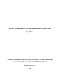 Structural and Biophysical Characterization of Protocadherin Extracellular Regions Holly N. Wolcott Submitted in Partial Fulfill