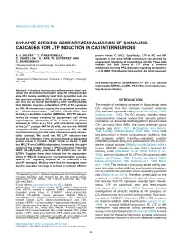 Synapse-Specific Compartmentalization of Signaling Cascades for Ltp Induction in Ca3 Interneurons