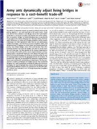 Army Ants Dynamically Adjust Living Bridges in Response to a Cost–Benefit Trade-Off