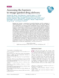 Assessing the Barriers to Imageguided Drug Delivery
