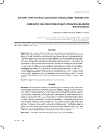 Effect of Salinity on Growth of the Green Alga Caulerpa Sertularioides (Bryopsidales, Chlorophyta) Under Laboratory Conditions E