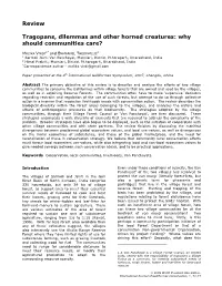 View PDF (103K)