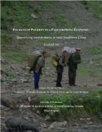 Quantifying Market Shares in Rural Southwest China