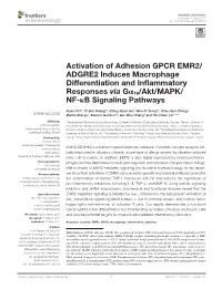 Activation of Adhesion GPCR EMR2/ADGRE2 Induces