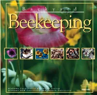 B a C K Y a R D Beekeepingbeekeeping