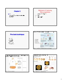 Chapter 3 Methods of Culturing Microorganisms Five Basic