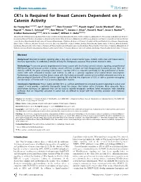 Ck1e Is Required for Breast Cancers Dependent on B- Catenin Activity