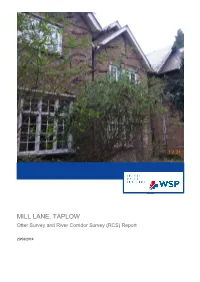 MILL LANE, TAPLOW Otter Survey and River Corridor Survey (RCS) Report