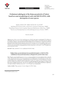 Preliminary Phylogeny of the Thrips Parasitoids of Turkey Based on Some Morphological Scales and 28S D2 Rdna, with Description of a New Species