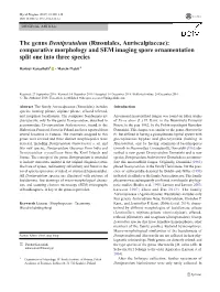 The Genus Dentipratulum (Russulales, Auriscalpiaceae): Comparative Morphology and SEM Imaging Spore Ornamentation Split One Into Three Species