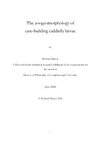 The Zoogeomorphology of Case-Building Caddisfly Larvae