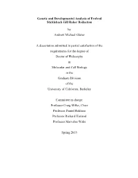 Genetic and Developmental Analysis of Evolved Stickleback Gill Raker Reduction