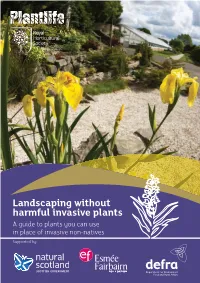 Landscaping Without Harmful Invasive Plants