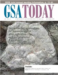 Understanding Mechanisms for the End-Permian Mass Extinction and the Protracted Early Triassic Aftermath and Recovery