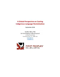 A Global Perspective on Costing Indigenous Language Revitalization
