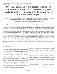 Component and Cluster Analyses of Somatometric Traits in Four Varieties