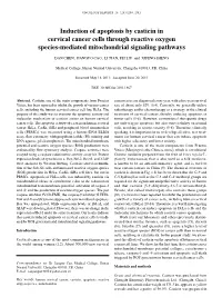 Induction of Apoptosis by Casticin in Cervical Cancer Cells Through Reactive Oxygen Species-Mediated Mitochondrial Signaling Pathways