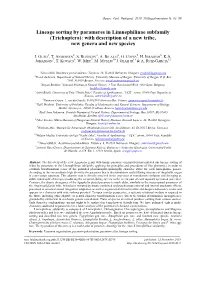 Lineage Sorting by Parameres in Limnephilinae Subfamily (Trichoptera): with Description of a New Tribe, New Genera and New Species