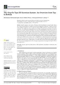 The Shigella Type III Secretion System: an Overview from Top to Bottom