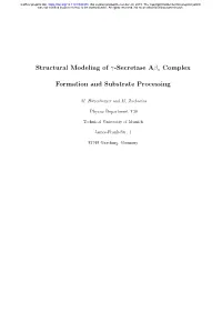 Structural Modeling of Γ-Secretase Aβn Complex Formation And
