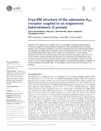 Cryo-EM Structure of the Adenosine A2A Receptor Coupled to An