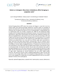 Sisters Or Strangers: How Does Relatedness Affect Foraging in Carpenter Ants?