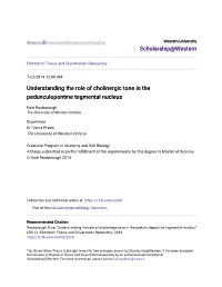 Understanding the Role of Cholinergic Tone in the Pedunculopontine Tegmental Nucleus