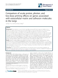 Comparison of Acute Proton, Photon, and Low-Dose Priming Effects On