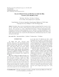 Record of Skeletal System and Pin Bones in Table Size Hilsa Tenualosa Ilisha (Hamilton, 1822)