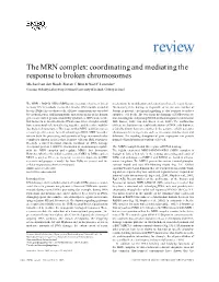2. the MRN Complex