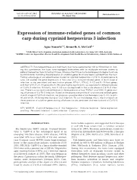 Expression of Immune-Related Genes of Common Carp During Cyprinid Herpesvirus 3 Infection