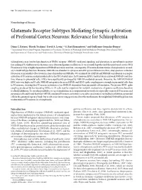 Glutamate Receptor Subtypes Mediating Synaptic Activation of Prefrontal Cortex Neurons: Relevance for Schizophrenia