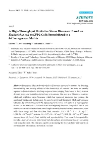 A High-Throughput Oxidative Stress Biosensor Based on Escherichia Coli Rogfp2 Cells Immobilized in a K-Carrageenan Matrix