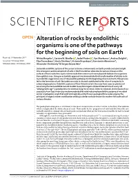 Alteration of Rocks by Endolithic Organisms Is One of the Pathways for the Beginning of Soils on Earth Received: 19 September 2017 Nikita Mergelov1, Carsten W