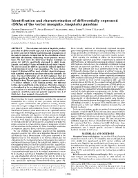 Identification and Characterization of Differentially Expressed Cdnas of the Vector Mosquito, Anopheles Gambiae