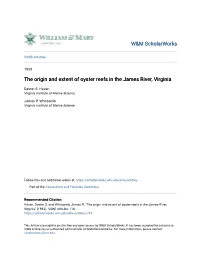 The Origin and Extent of Oyster Reefs in the James River, Virginia
