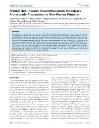 Frontal Non-Invasive Neurostimulation Modulates Antisaccade Preparation in Non-Human Primates