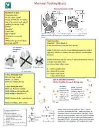 Mammal Tracking Basics