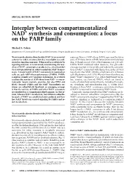 Synthesis and Consumption: a Focus on the PARP Family