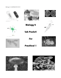Biology 2 Lab Packet for Practical 1