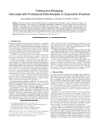 Futzing and Moseying: Interviews with Professional Data Analysts on Exploration Practices