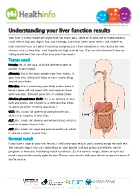 Understanding Your Liver Function Results