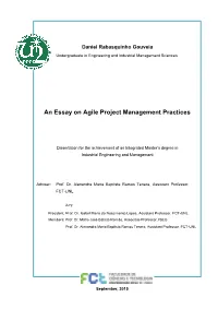 An Essay on Agile Project Management Practices [Habilitações Académicas]