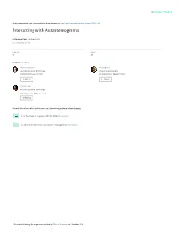 Interacting with Autostereograms