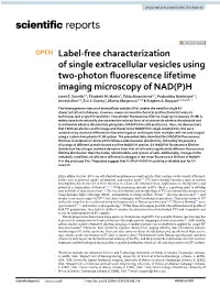 Label-Free Characterization of Single Extracellular Vesicles Using Two
