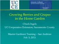 Growing Berries and Grapes in the Home Garden